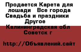 Продается Карета для лошади - Все города Свадьба и праздники » Другое   . Калининградская обл.,Советск г.